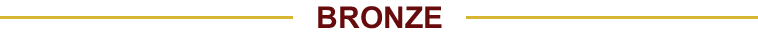 Bronze Sponsors